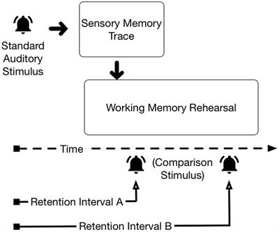 Have We Forgotten Auditory Sensory Memory? Retention Intervals in Studies of Nonverbal Auditory Working Memory